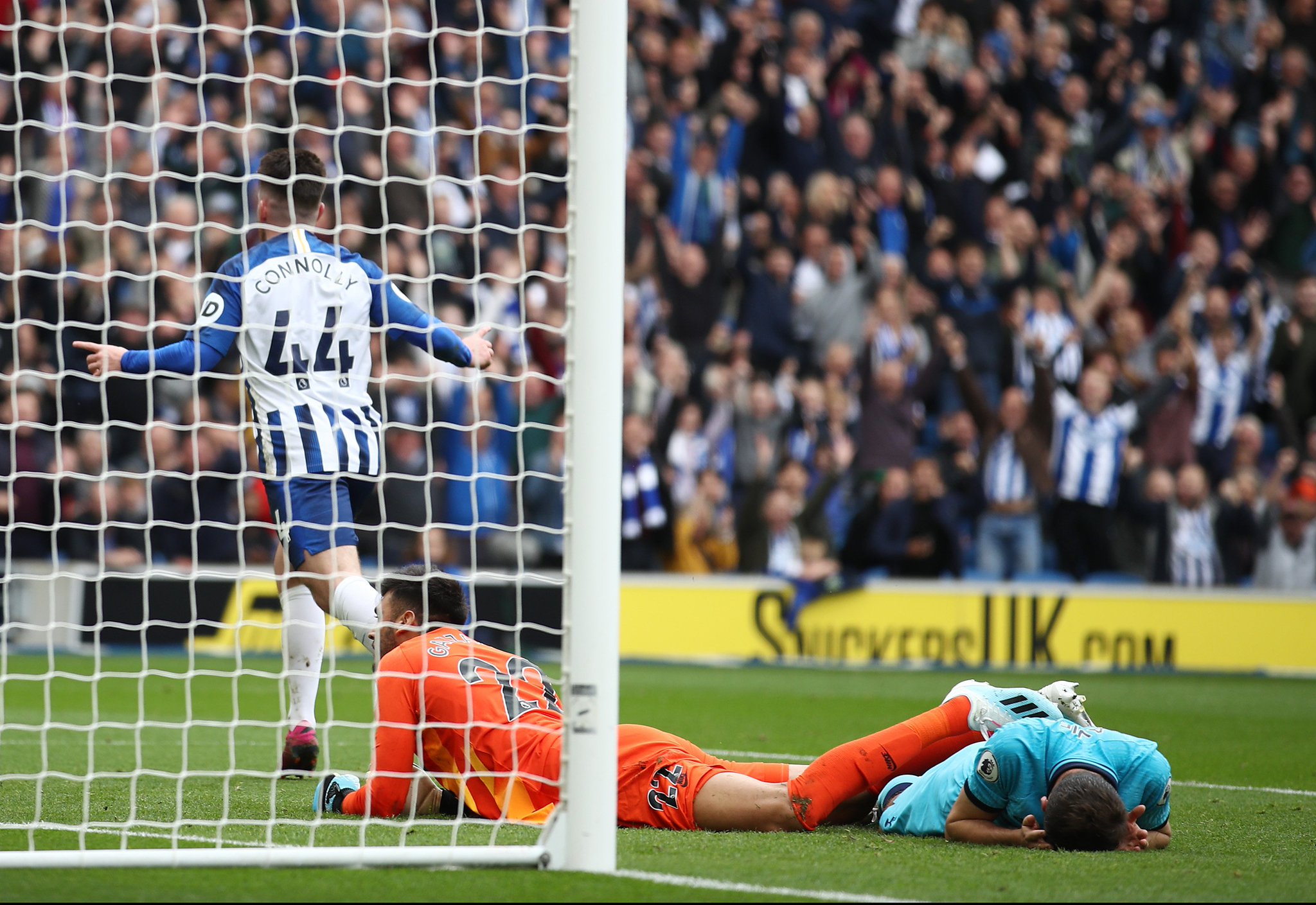 的联袂出战 的联袂出战